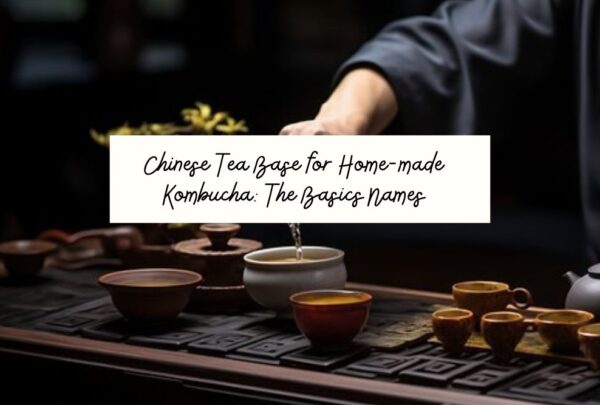 Chinese Teas For Chinese Kombucha Article Banner