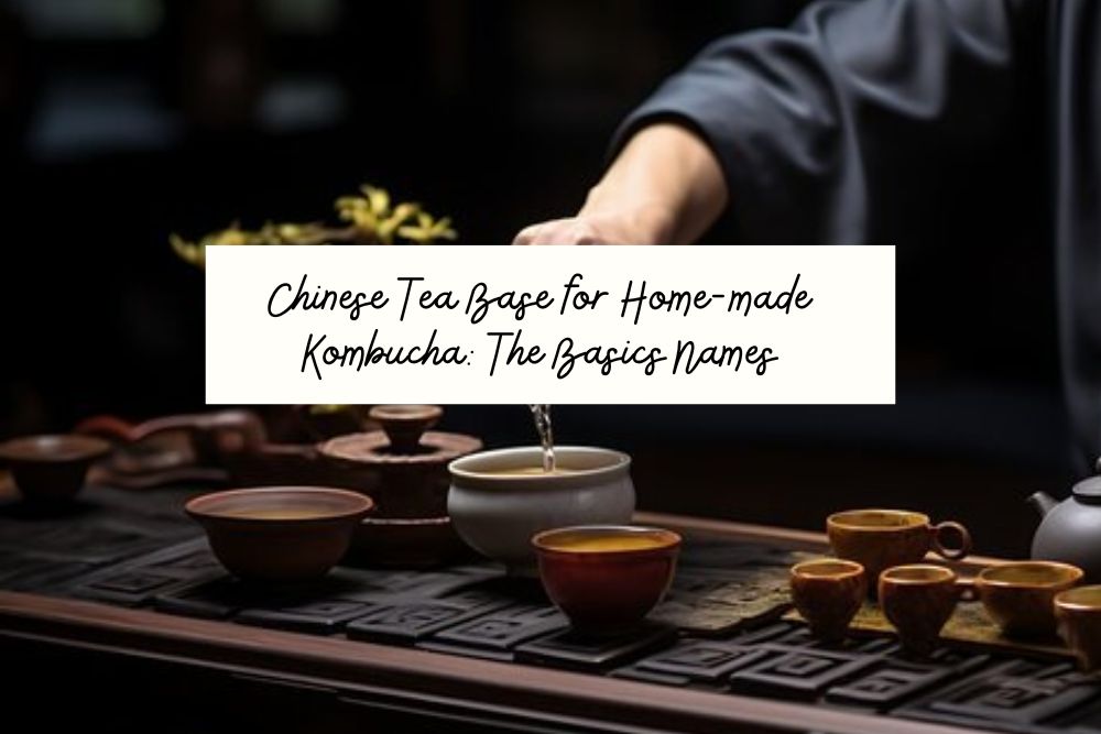 Chinese Teas For Chinese Kombucha Article Banner