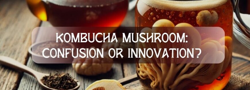 kombucha mushroom: confusion or innovation