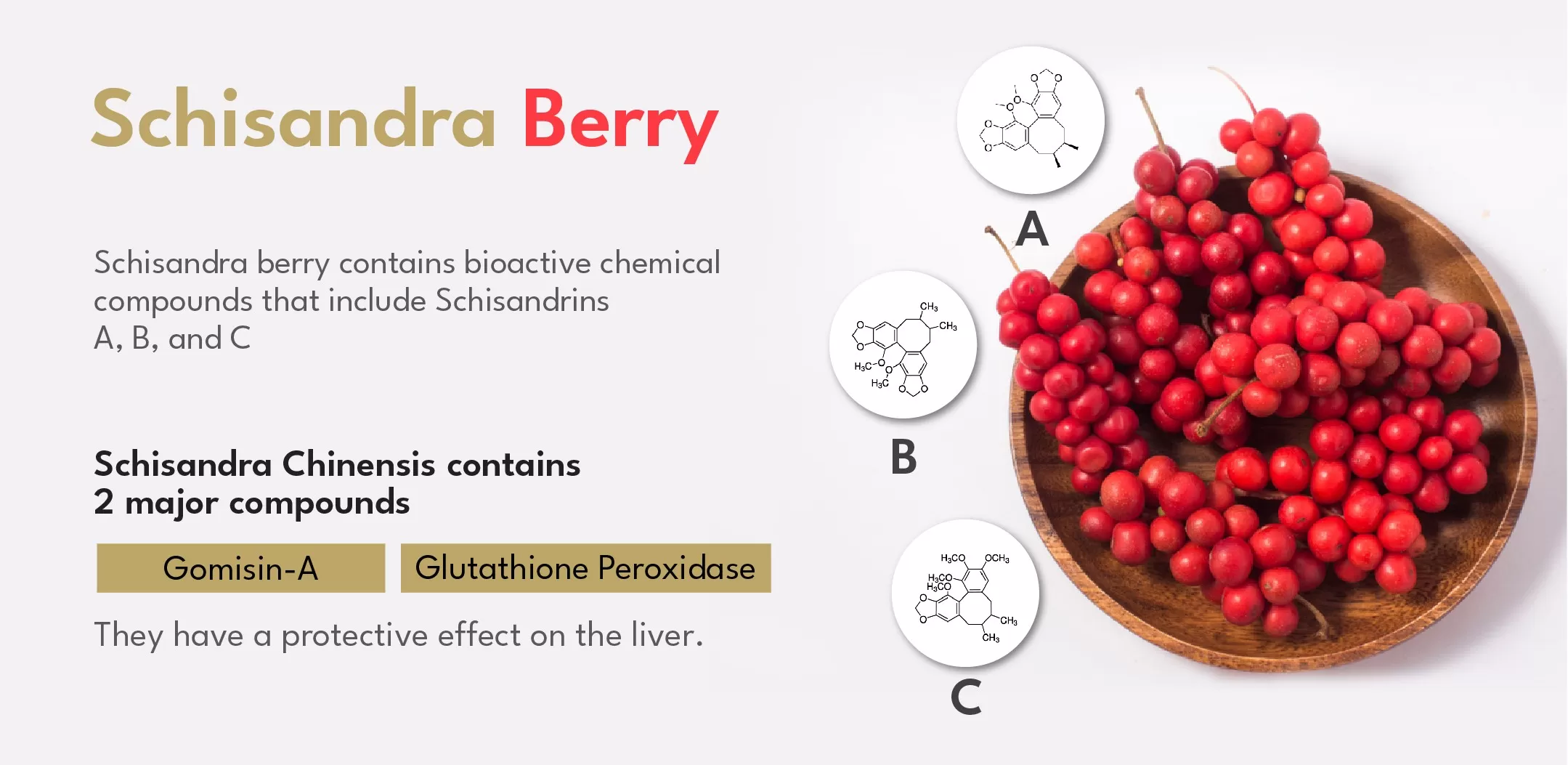 Schisandra Berry in yuzu Kombucha and potential health benefits