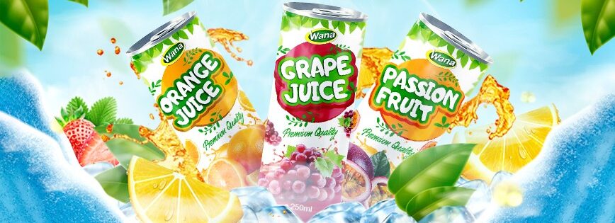 fruit juice for bulk juice supplier