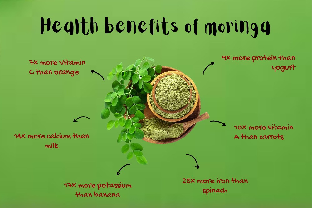 Health Benefits of Moringa in Coconut Kombucha