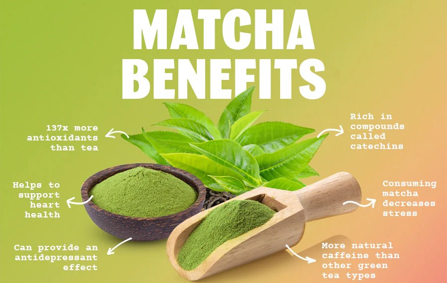 Health benefits of Matcha in Cocconut Kombucha