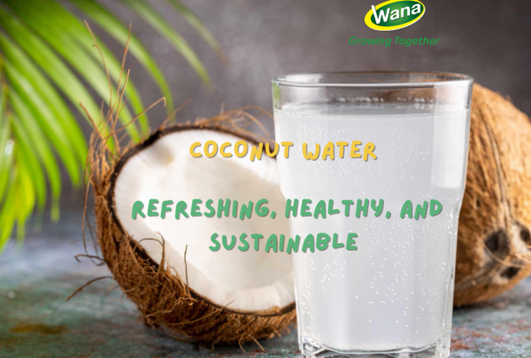 COCONUT WATER WANA