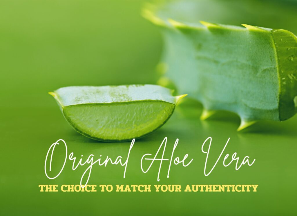 Aloe Original Drink article banner