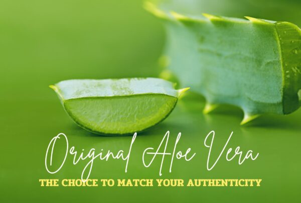 Aloe Original Drink article banner