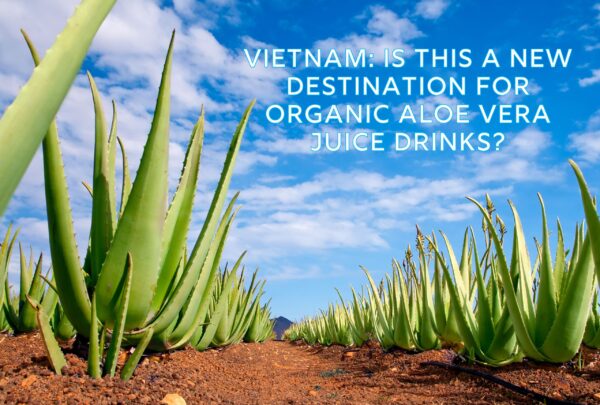 Banner for organic Aloe Vera Juice Drink's Manufacturer