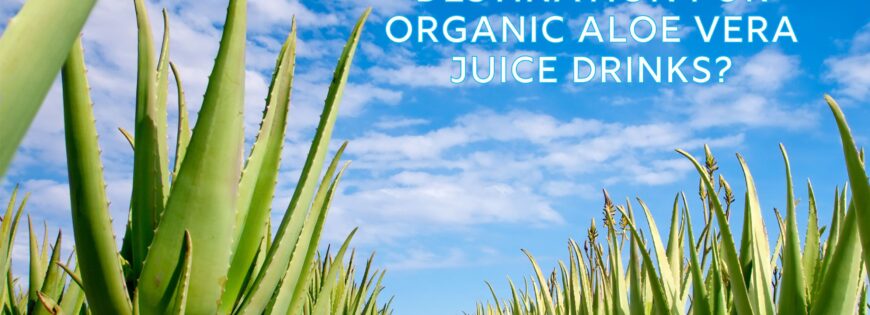 Banner for organic Aloe Vera Juice Drink's Manufacturer