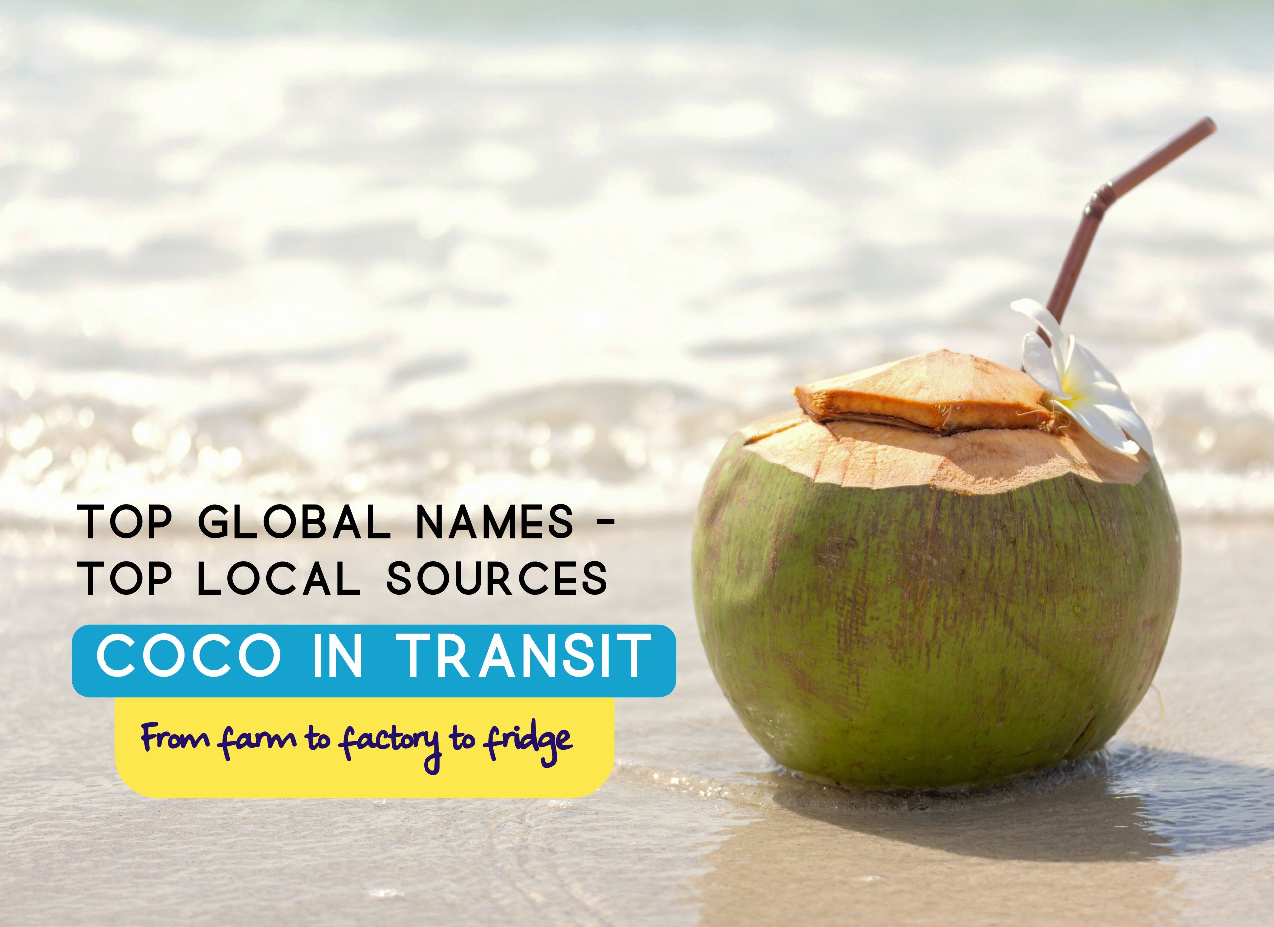 Coconut water brands and sources banner