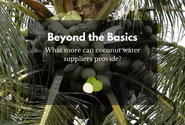 coconut water bulk supplier banner