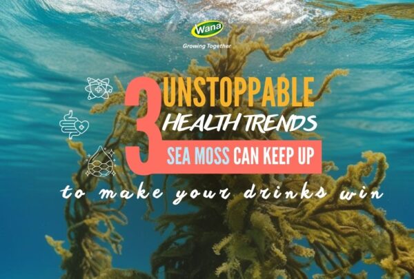 sea moss vss health trends banner