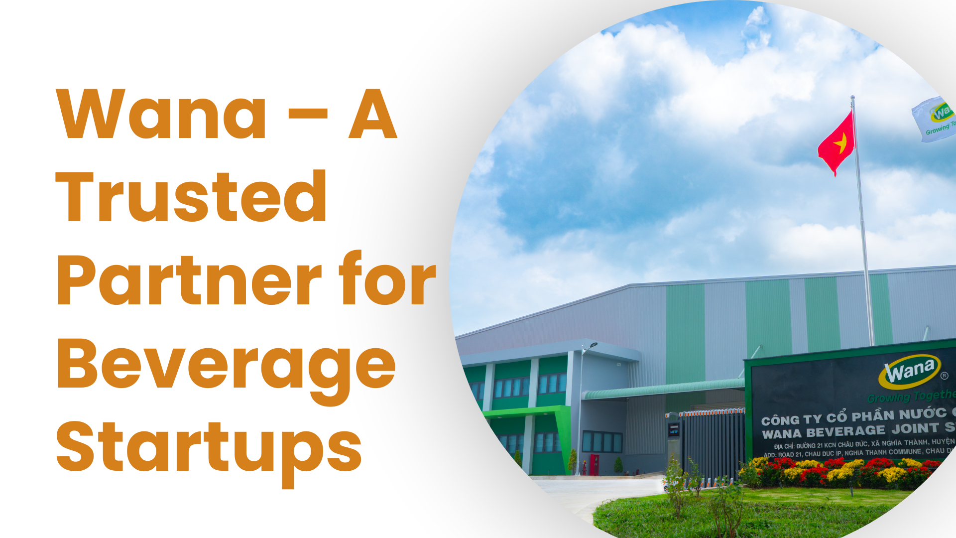 Best Private Label Manufacturers for Startups